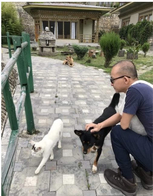 A man caring for animals